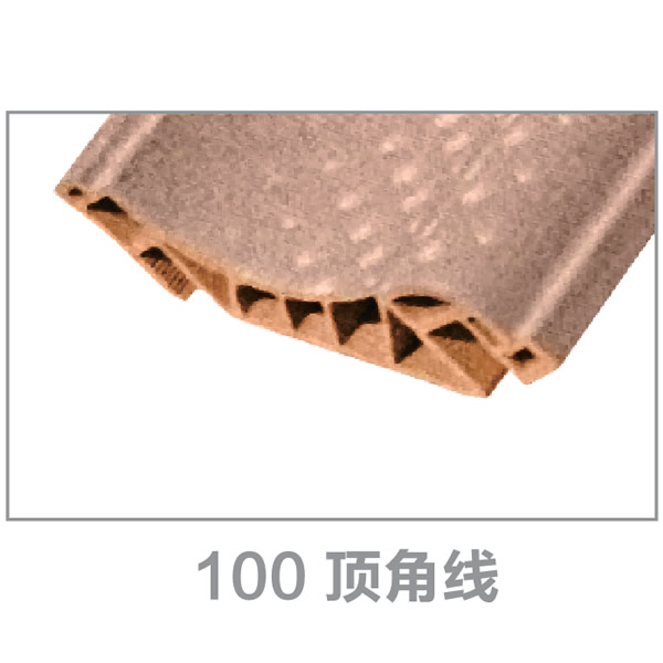 100顶角线1